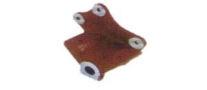 hino trailer front spring bracket manufacturer from india